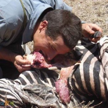 贝尔爱吃的食物