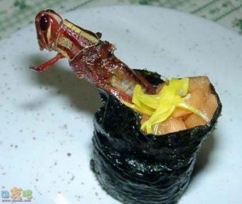 恐怖的昆虫寿司