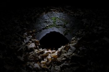 令人毛骨悚然的图片