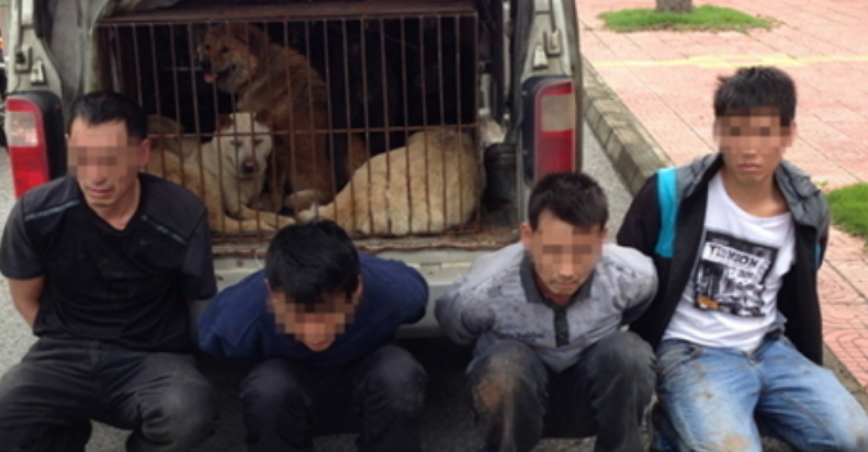 可疑车辆引起警方的注意，打开车门后路人都握紧拳头