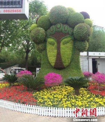 河北石家庄现13组立体花坛 市民纷纷点赞