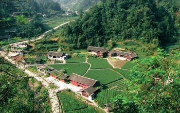 想当农民？再过十年村庄都要消失了