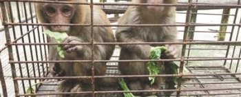 男子在慈溪一家宠物狗店买了两只宠物 没想到出事了