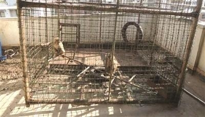 男子在慈溪一家宠物狗店买了两只宠物 没想到出事了