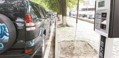 珠海这些路段违停较多 靠路边停车打电话也会被罚