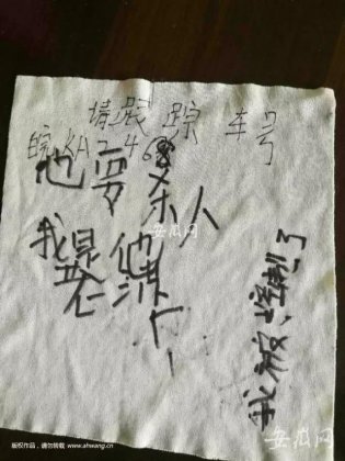 男子高速路上捡餐巾纸 写锛偹??比