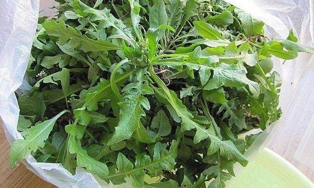 在农村才吃得到的六种野味，几乎没有人全吃过，最后两种已绝迹！