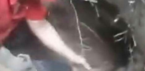 男子掘地三尺抓到神秘“土怪”，抓起一看令人羡慕不已！