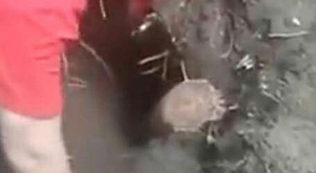 男子掘地三尺抓到神秘“土怪”，抓起一看令人羡慕不已！