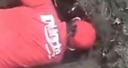 男子掘地三尺抓到神秘“土怪”，抓起一看令人羡慕不已！