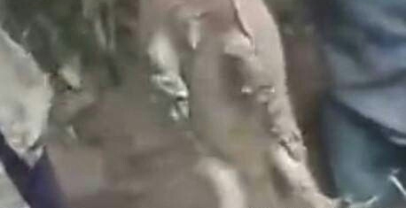 男子掘地三尺抓到神秘“土怪”，抓起一看令人羡慕不已！