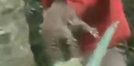 男子掘地三尺抓到神秘“土怪”，抓起一看令人羡慕不已！