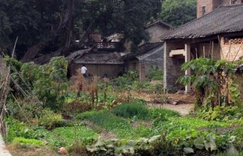 预测中国农村发展的的3大出路，哪一条最可靠？