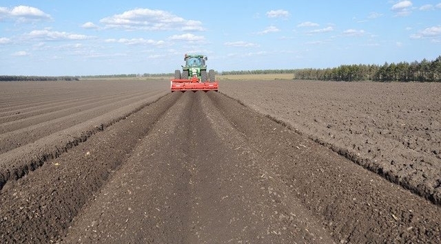 预测中国农村发展的的3大出路，哪一条最可靠？