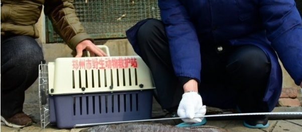 污水处理厂捕获“怪物” 震惊了所有人！