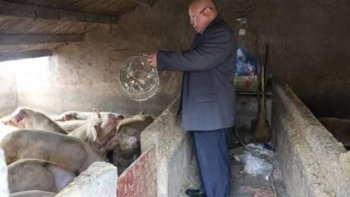 【好人365】锛偼诵萁淌︼紓尹士荣 退休后辛苦养猪15年 为子还清50万元债务