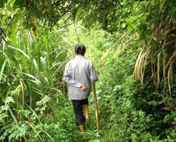 农村大妈山中挖挖挖，结果你绝对想不到