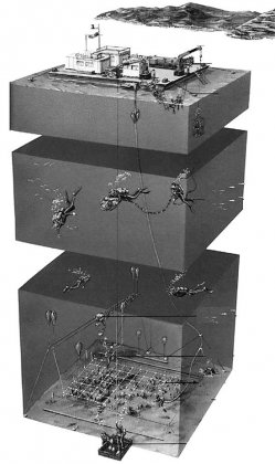 揭秘：《国家宝藏》背后的考古工作者