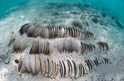 揭秘：《国家宝藏》背后的考古工作者