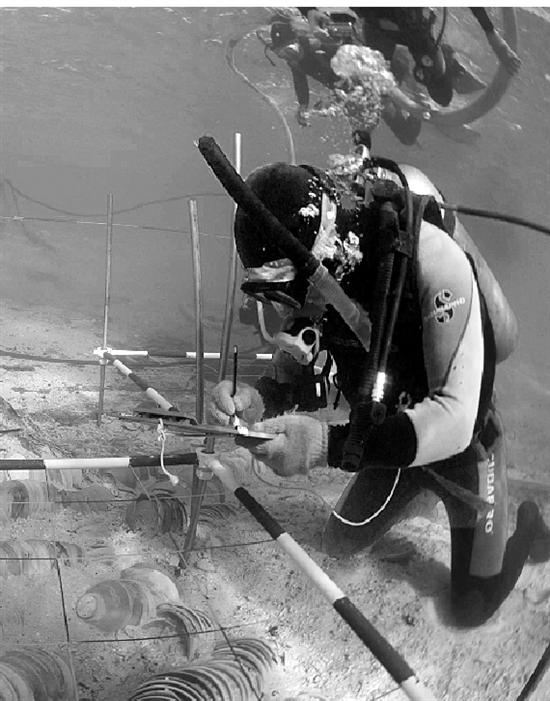 揭秘：《国家宝藏》背后的考古工作者