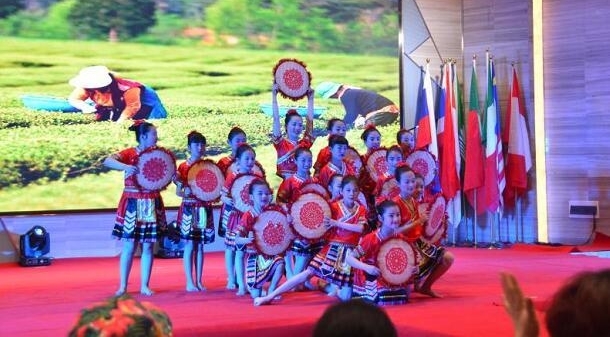 “天才小咖秀”网络电视大赛启动 首场周赛人气爆棚