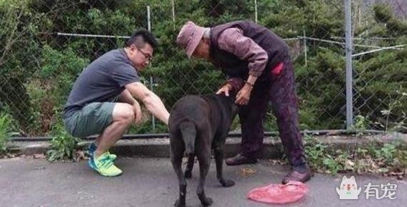 爱心奶奶趴在下水道井盖上喂流浪猫，超暖行为惹哭网友