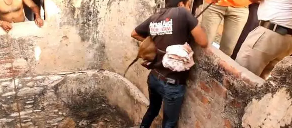 男子听到奇怪的叫声，伸了脑袋一看，吓得马上就去营救了！