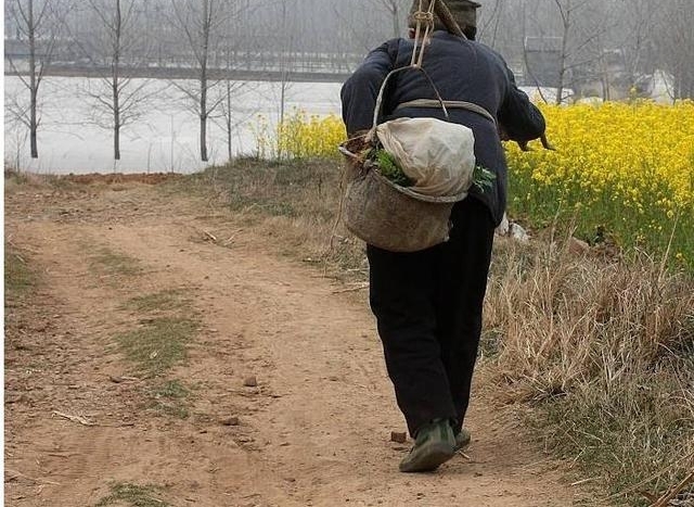 猪场关停背后带来的连锁反应，这群人成中国最能干的人