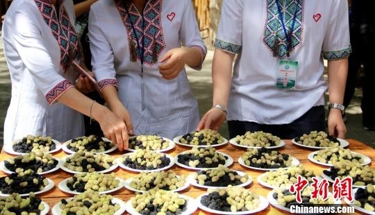 新疆吐鲁番第四届桑葚节见闻 “桑葚大战”吸睛