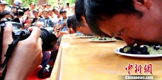 新疆吐鲁番第四届桑葚节见闻 “桑葚大战”吸睛