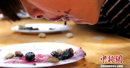 新疆吐鲁番第四届桑葚节见闻 “桑葚大战”吸睛