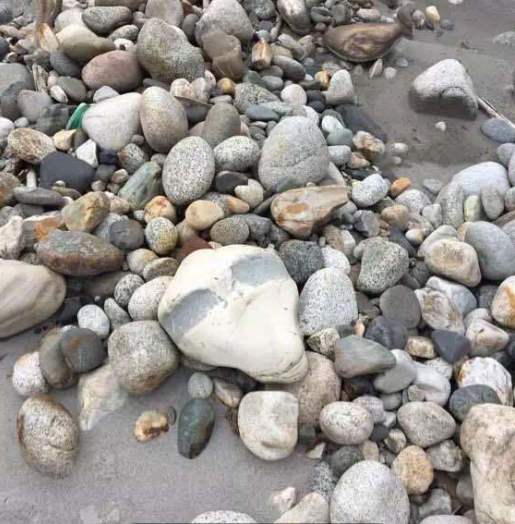 小伙拾到一“脸型”奇石，打算收藏，专家却强烈要求其上缴国家