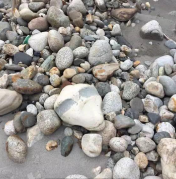 小伙拾到一“脸型”奇石，打算收藏，专家却强烈要求其上缴国家