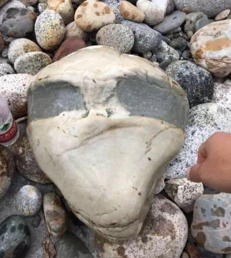 小伙拾到一“脸型”奇石，打算收藏，专家却强烈要求其上缴国家