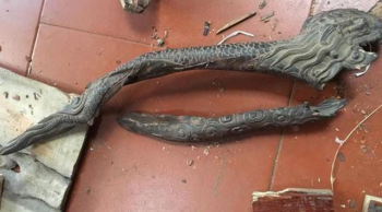 小男孩用“烂木头”作玩具，带回家后才知道捡到宝了！