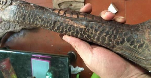 小男孩用“烂木头”作玩具，带回家后才知道捡到宝了！