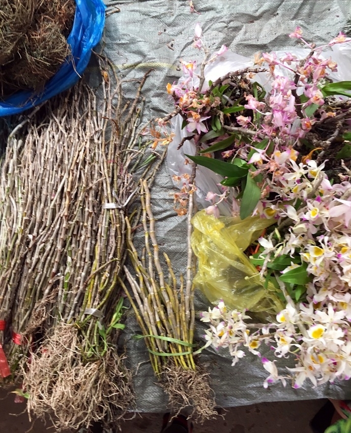 云南大山深处原汁原味的小集市 摆满了特色物品和小果子