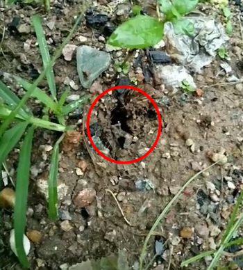 小伙在野地发现一个洞口，随便扒拉两下竟有如此收获！