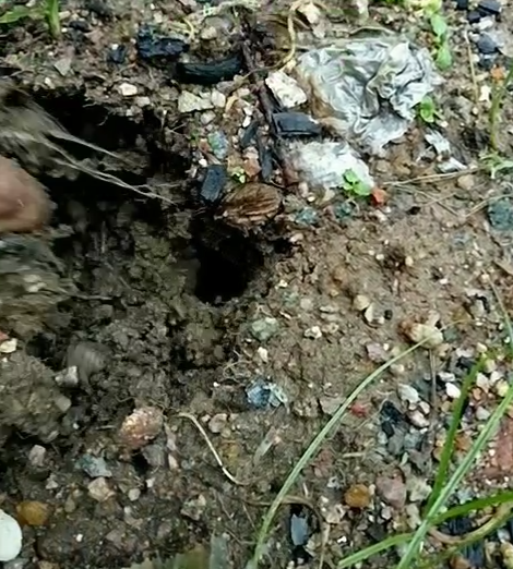 小伙在野地发现一个洞口，随便扒拉两下竟有如此收获！