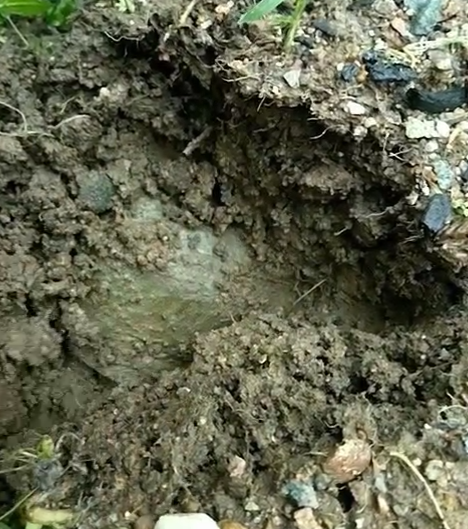 小伙在野地发现一个洞口，随便扒拉两下竟有如此收获！