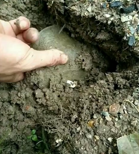 小伙在野地发现一个洞口，随便扒拉两下竟有如此收获！