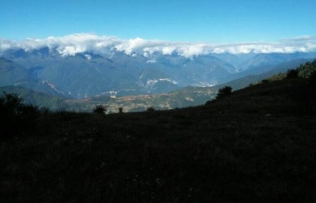 喜马拉雅宝藏被驴友发现，迅速成为富人餐桌上的珍品！