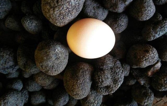 喜马拉雅宝藏被驴友发现，迅速成为富人餐桌上的珍品！