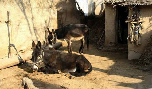 农村夫妇一辈子攒了10万，为给儿子娶妻还要再借40万！