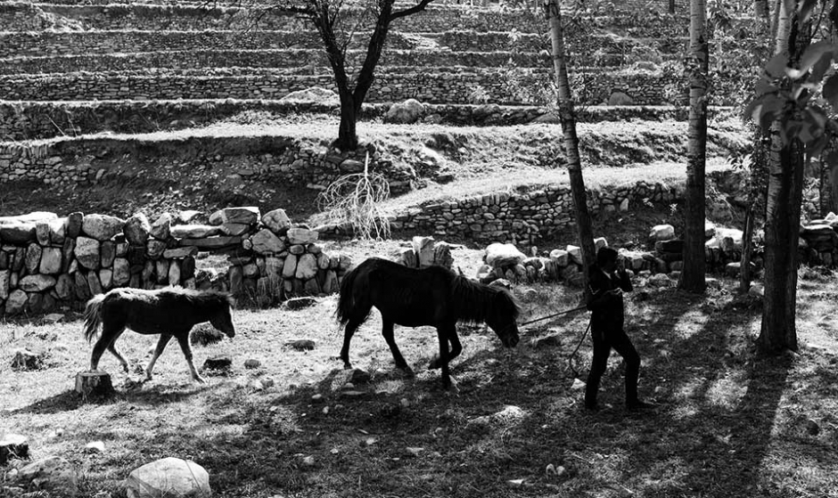 农村情最是难忘怀  组照晋西北采风 ——《村头》