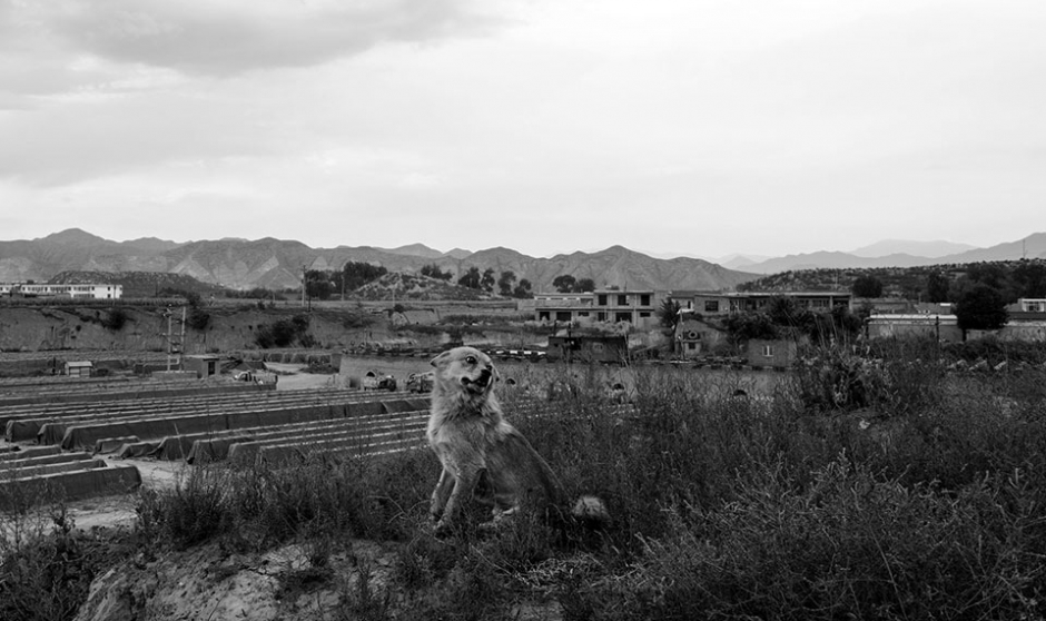 农村情最是难忘怀  组照晋西北采风 ——《村头》