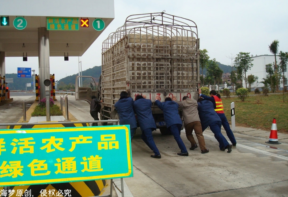 收费站工作的姑娘们，青春靓丽其实很辛苦