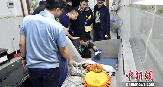 南京破获特大网络传播淫秽案 查扣2万多部色情视频