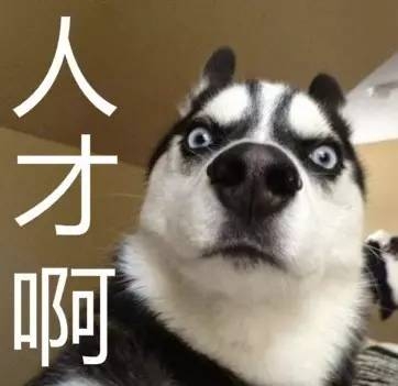 女子挥霍无度钱不够花，让闺蜜引诱老公后敲诈50万