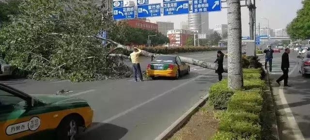 九级大风来袭？掌柜们不要忽视这几件“小事”